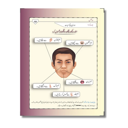 Pre-KG/KG - پری کے جی/کے جی